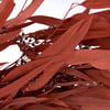 120744_50_.jpg