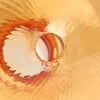 121264_50_.jpg