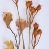 123495_50_.jpg
