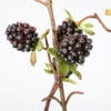 125063_50_.jpg
