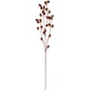 125064_30_.jpg