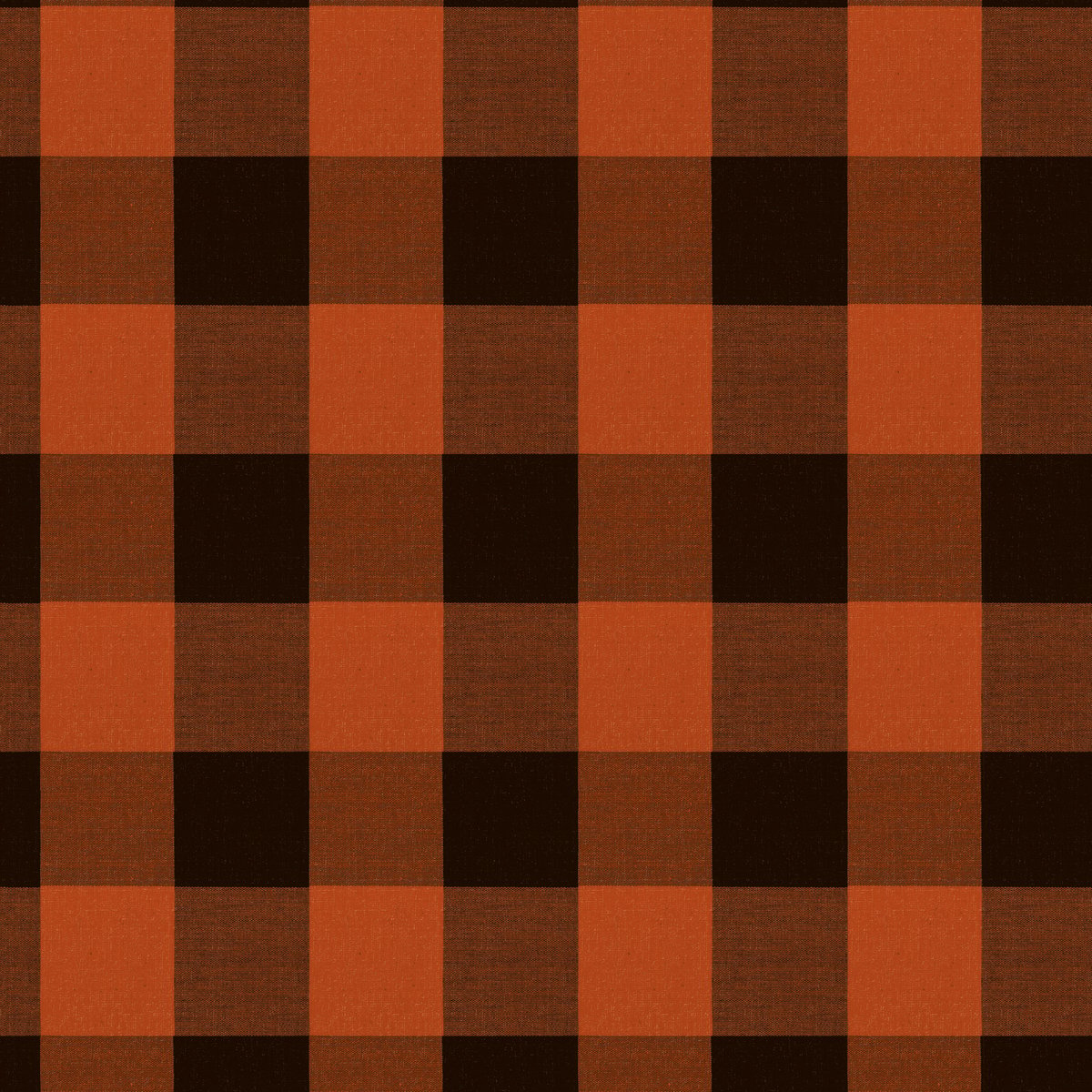 111922_50_.jpg