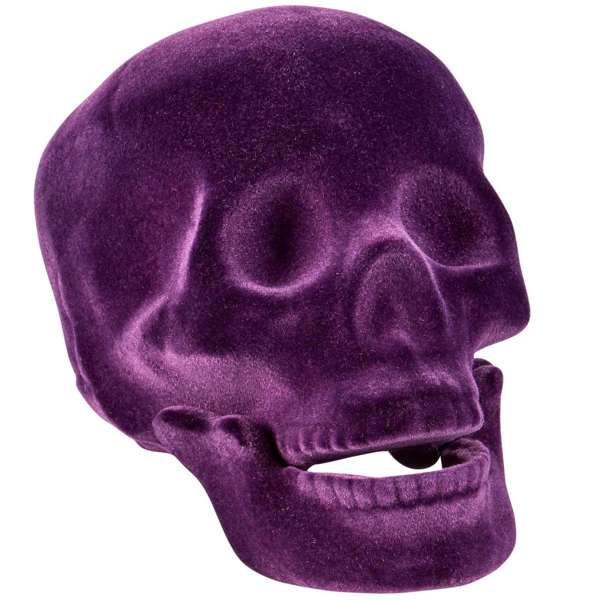 119240.jpg