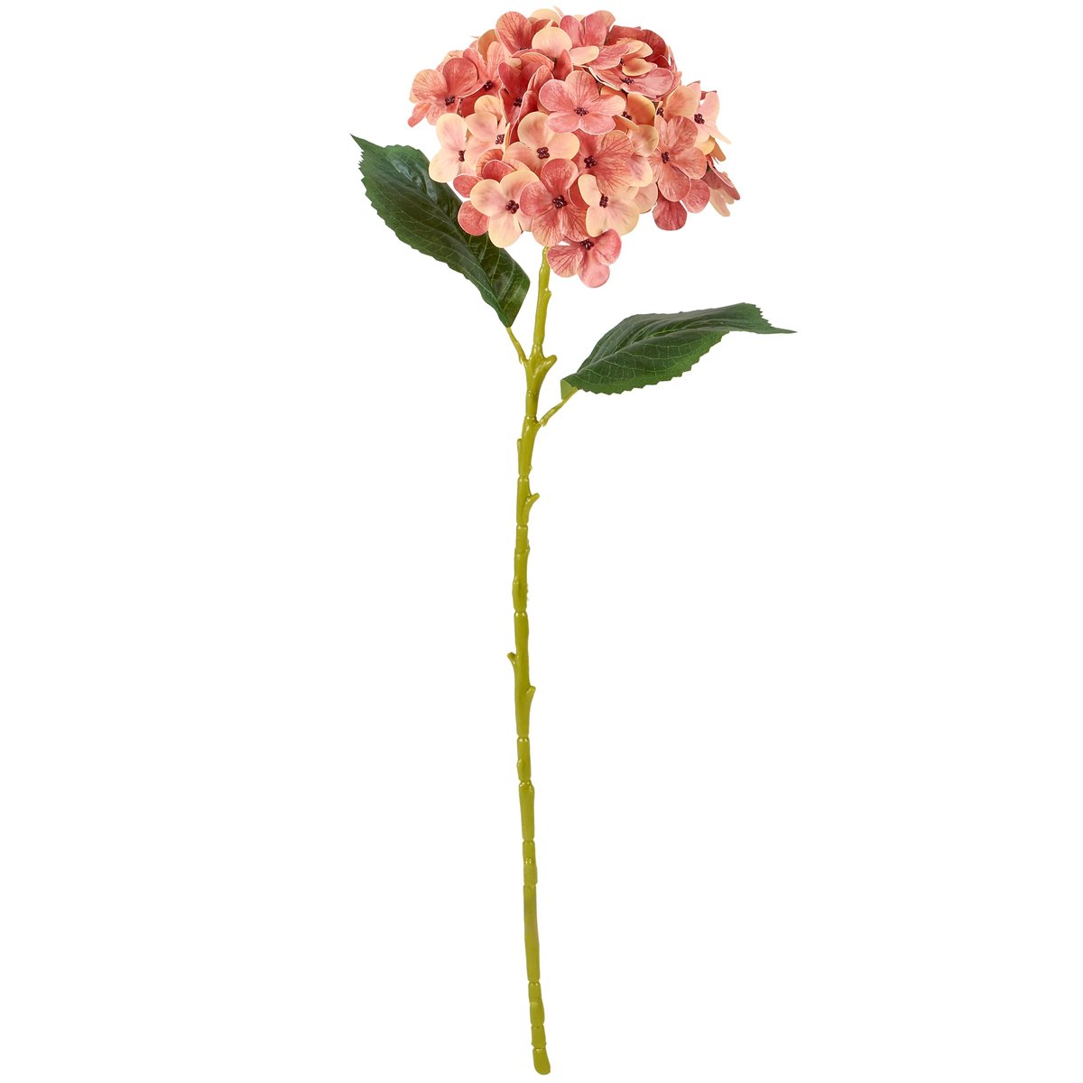 119699_30_.jpg