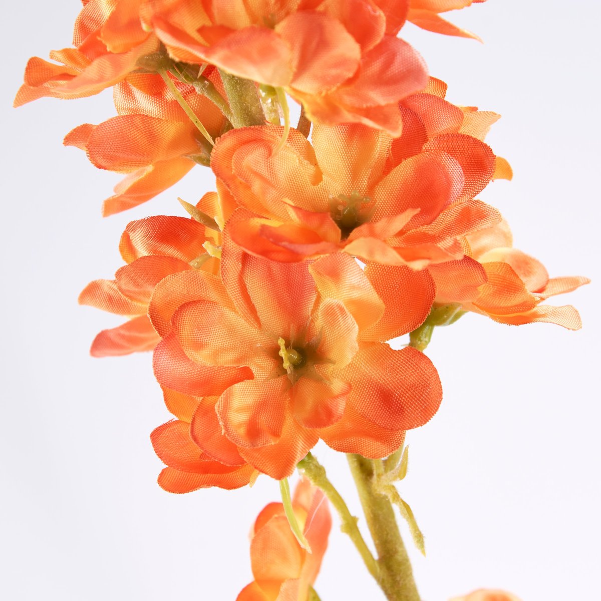 121172_50_.jpg