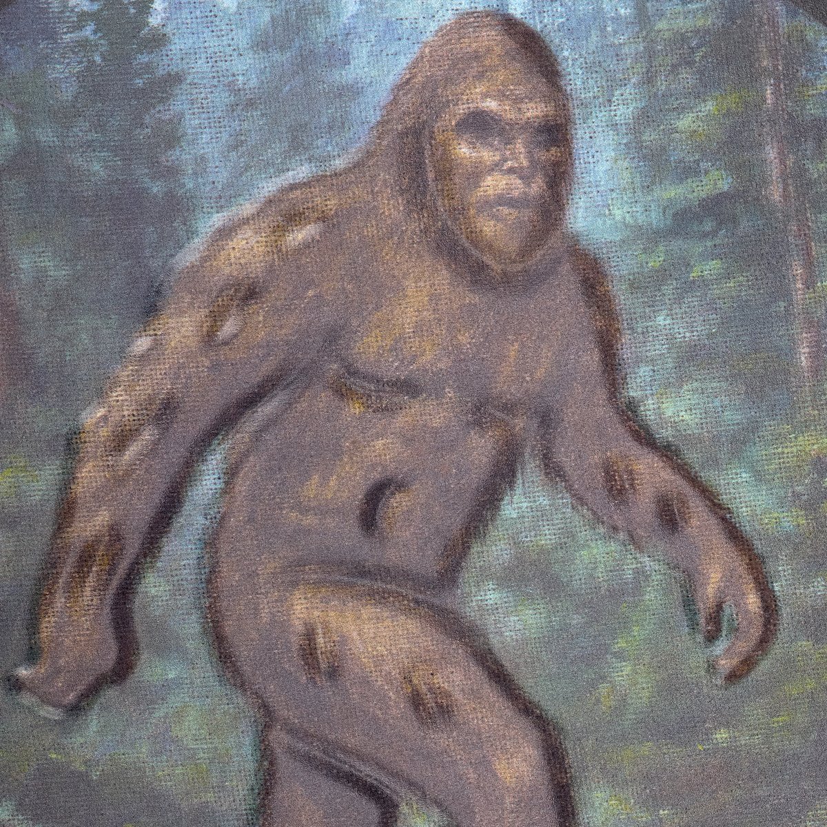 123164_50_.jpg