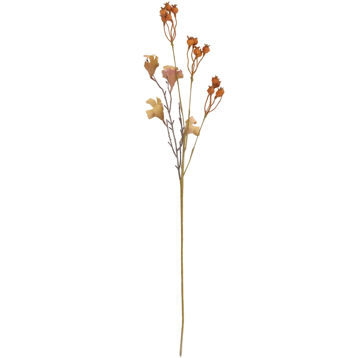 123495_30_.jpg