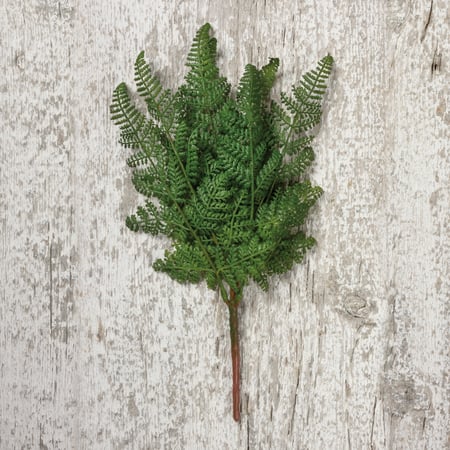 Dark Lacy Fern Floral Pick - Plastic, Wire