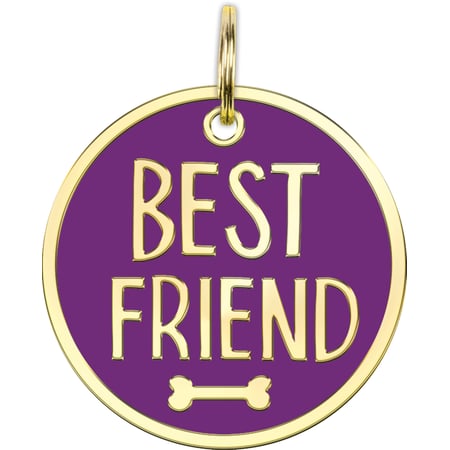 Best Friend Collar Charm - Metal, Enamel, Paper