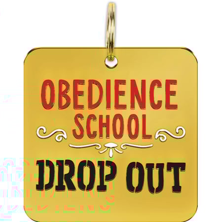 Obedience School Drop Out Collar Charm - Metal, Enamel, Paper