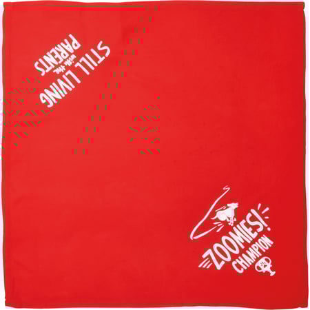 Zoomies/Parents Small Pet Bandana - Rayon