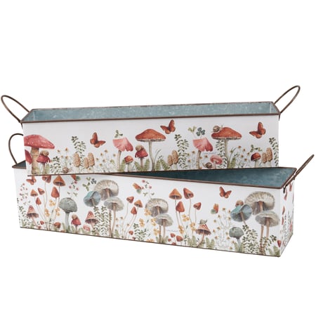 Mushroom Study Bin Set - Metal, Paper