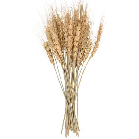Wheat Bouquet - Natural Foliage, Paper, Plastic, Raffia