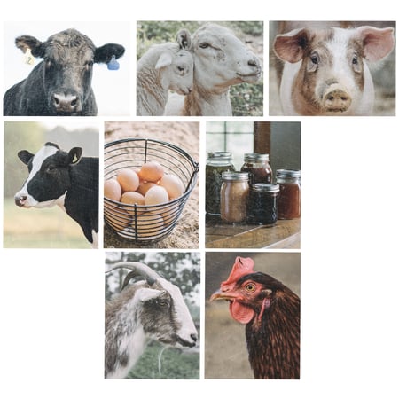 Homestead Note Card Set - Paper