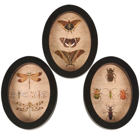 Insect Study Hanging Decor Set - Wood, Paper