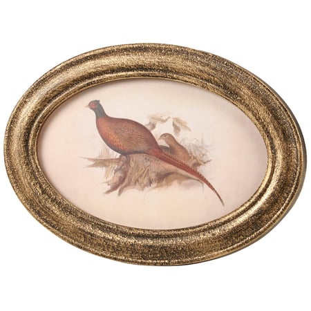 Pheasant Framed Art - Wood, Paper