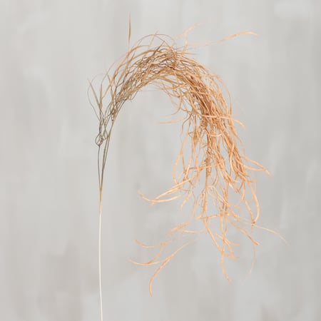 Seaweed Floral Pick - Plastic, Fabric
