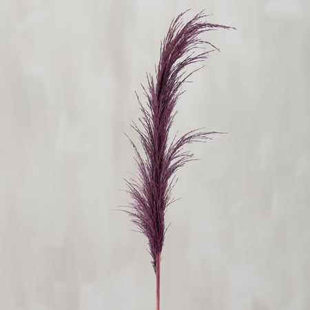 Purple Common Reed Floral Pick - Natural Foliage