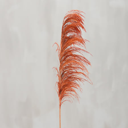 Brown Common Reed Floral Pick - Natural Foliage