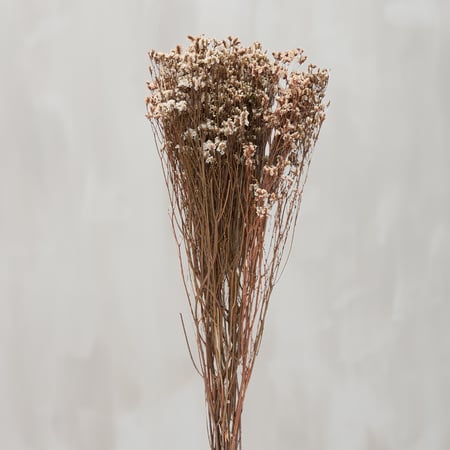 Cream Dried Flower Bouquet - Natural Foliage