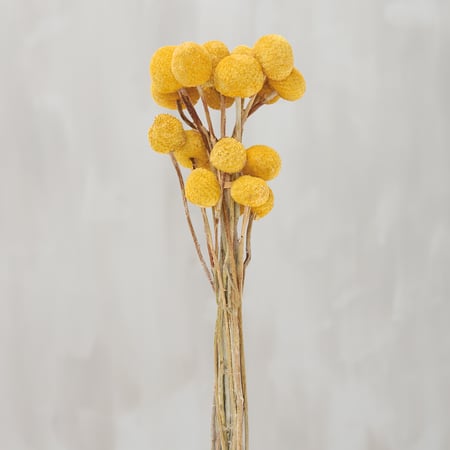 Yellow Billy Button Bouquet - Natural Foliage