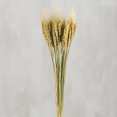 Wheat Grass Bouquet - Natural Foliage
