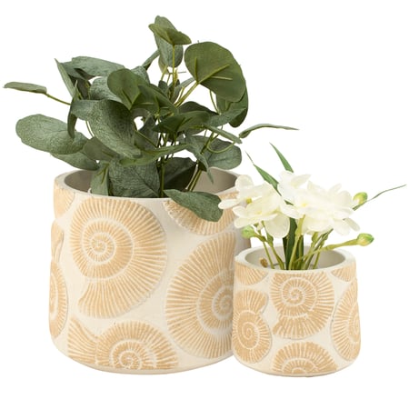 Nautilus Shell Planter Set - Cement
