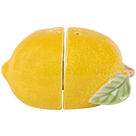 Lemon Salt and Pepper Shakers - Ceramic, Plastic