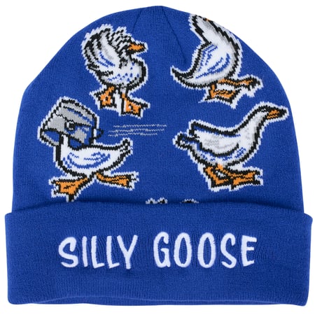 Silly Goose Beanie - Acrylic