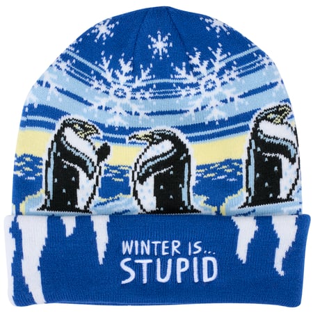 Winter Is Stupid Beanie - Acrylic