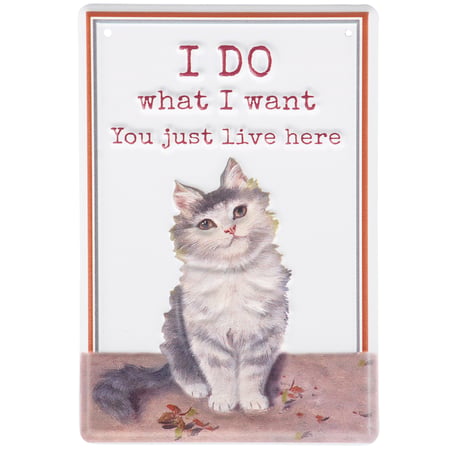 I Do What I Want Hanging Decor - Metal