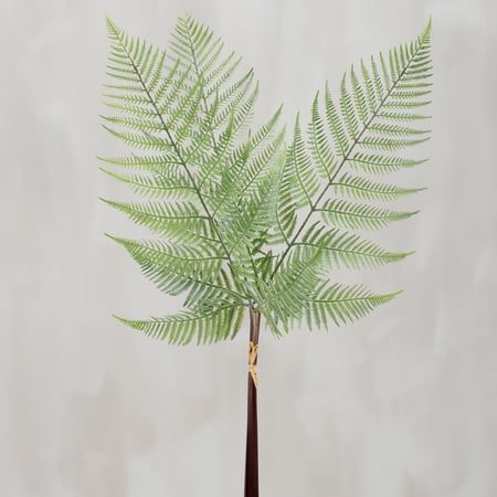 Bracken Fern Bouquet - Plastic, Wire, Raffia