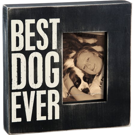 Best Dog Ever Box Frame - Wood, Glass