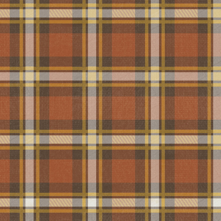 111921_50_.jpg