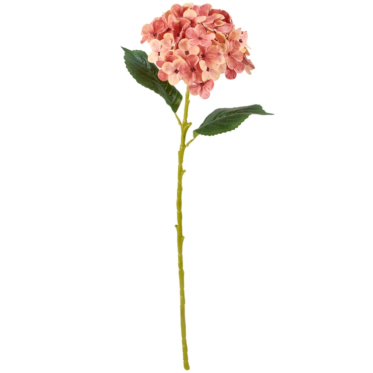 119699_30_.jpg
