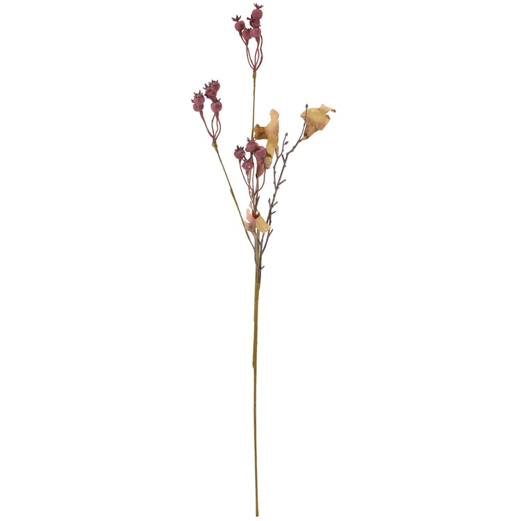 123496_30_.jpg